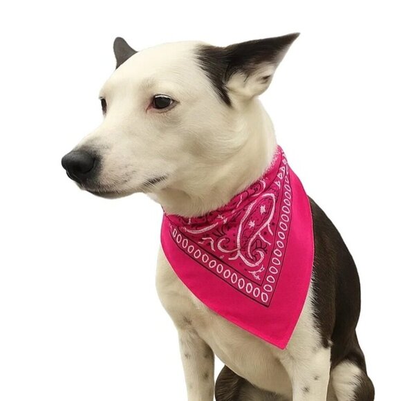 Burgundy Hot Pink Colorful Bandanas 21x21 Inch Square Western Style Scarves Set - Picture 9 of 9